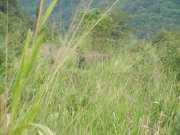 DSCN3749