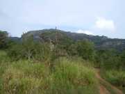DSCN3751