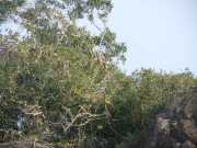 DSCN3754