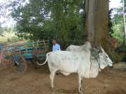DSCN3762