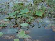 DSCN3765