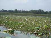DSCN3766