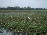 DSCN3767