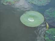 DSCN3768