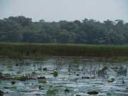 DSCN3769