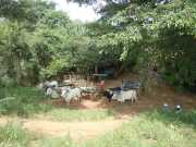 DSCN3781