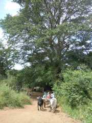 DSCN3784