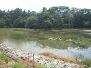 DSCN3785