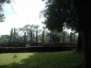 DSCN3801