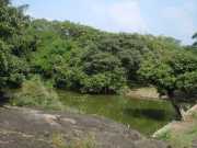 DSCN3824