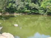 DSCN3825