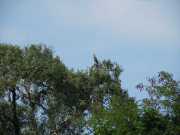 DSCN3826
