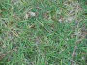 DSCN3827