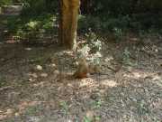 DSCN3828