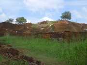DSCN3872