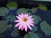 DSCN3916