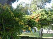 DSCN3922