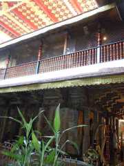 DSCN3937