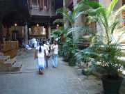 DSCN3948