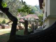 DSCN3949