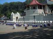 DSCN3952