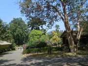 DSCN3956