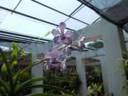 DSCN3967