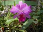 DSCN3969