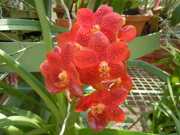DSCN3976