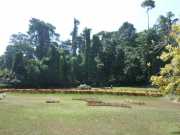 DSCN3981
