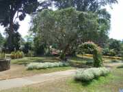 DSCN3982