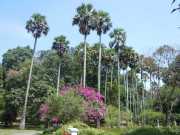 DSCN3984