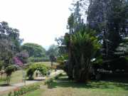 DSCN3985