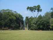 DSCN3987