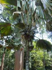 DSCN3996