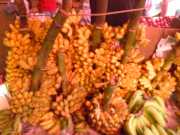 DSCN4011