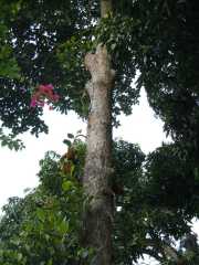 DSCN4019