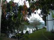 DSCN4023