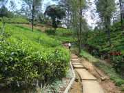 DSCN4027