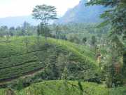 DSCN4033