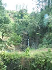DSCN4035