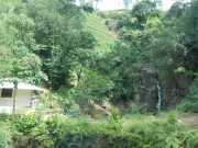 DSCN4036