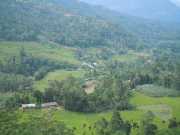 DSCN4039