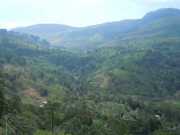 DSCN4041