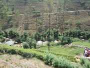 DSCN4051