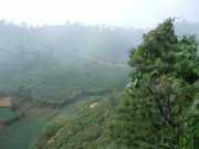 DSCN4060