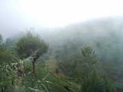 DSCN4061