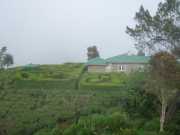 DSCN4062