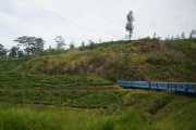 383.DSC08030