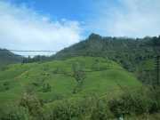 DSCN4087